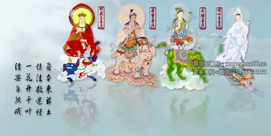 杨宁讲耳根圆通 28集 直指人心 顿悟本来